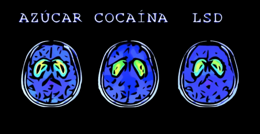 cerebro azúcar cocaina y lds