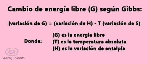 variable de Gibbs como energía libre que sustituye a la entropía