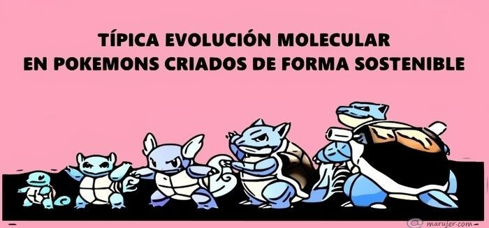 evolución Pokemon, a nivel molecular
